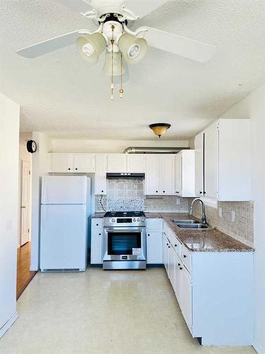 224 Whitaker Close Ne, Calgary, AB - Indoor Photo Showing Kitchen With Double Sink