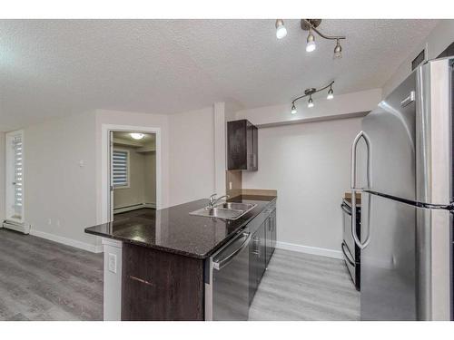 106-7110 80 Avenue Ne, Calgary, AB - Indoor Photo Showing Kitchen With Double Sink