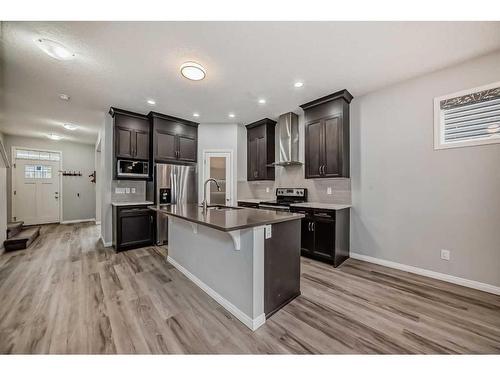 730 Redstone Drive Ne, Calgary, AB - Indoor Photo Showing Kitchen With Stainless Steel Kitchen With Upgraded Kitchen