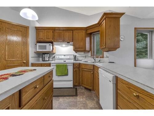 232 Hampshire Place Nw, Calgary, AB - Indoor Photo Showing Kitchen With Double Sink