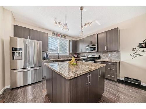 103 Walden Gardens Se, Calgary, AB - Indoor Photo Showing Kitchen With Upgraded Kitchen