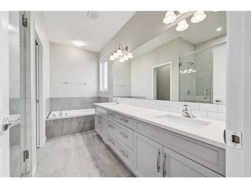 180 Cityside Park Ne, Calgary, AB - Indoor Photo Showing Bathroom