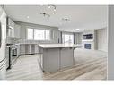 180 Cityside Park Ne, Calgary, AB  - Indoor Photo Showing Kitchen With Upgraded Kitchen 