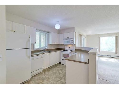 1318-6635 25 Avenue Ne, Calgary, AB - Indoor Photo Showing Kitchen With Double Sink