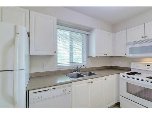 1318-6635 25 Avenue Ne, Calgary, AB - Indoor Photo Showing Kitchen With Double Sink