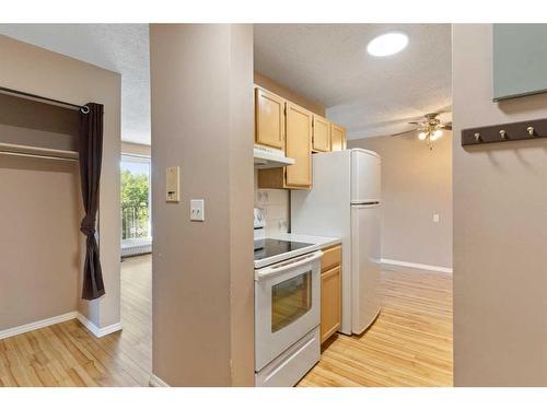 309-2508 17 Street Sw, Calgary, AB - Indoor Photo Showing Kitchen