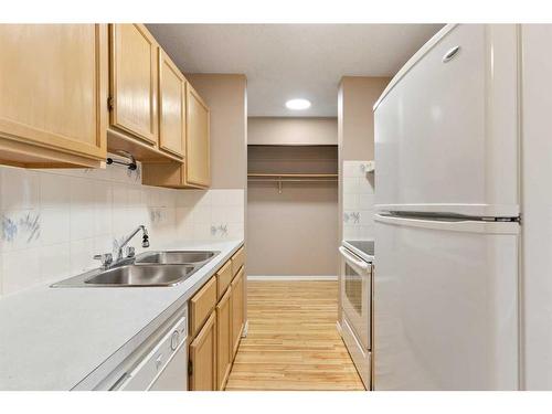 309-2508 17 Street Sw, Calgary, AB - Indoor Photo Showing Kitchen With Double Sink