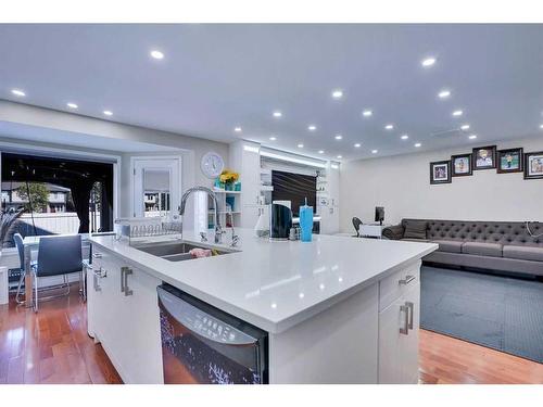 116 Saddlecrest Gardens Ne, Calgary, AB - Indoor Photo Showing Kitchen With Double Sink