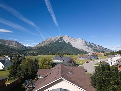 3021 214 Street, Bellevue, AB - Outdoor With View