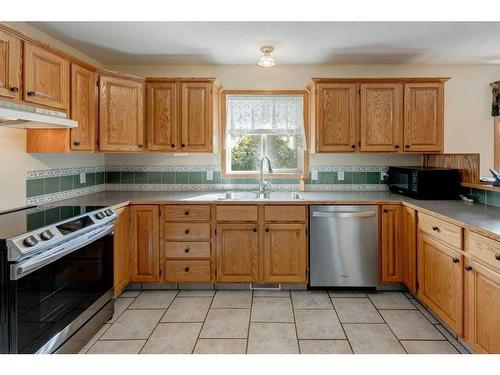 13 Crystal Ridge Cove, Strathmore, AB - Indoor Photo Showing Kitchen With Double Sink