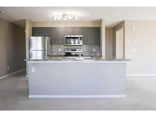 1301-4641 128 Avenue Ne, Calgary, AB - Indoor Photo Showing Kitchen