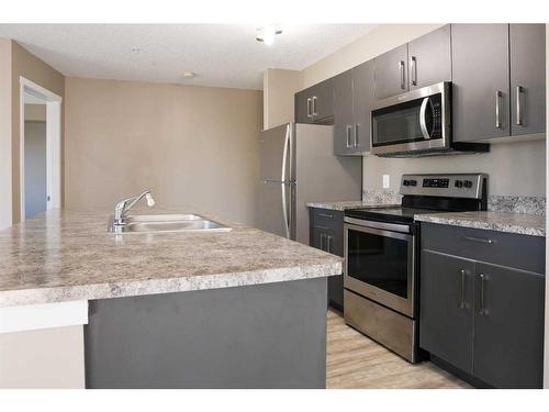 1301-4641 128 Avenue Ne, Calgary, AB - Indoor Photo Showing Kitchen With Double Sink With Upgraded Kitchen