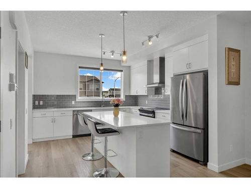 260 Cornerbrook Drive Ne, Calgary, AB - Indoor Photo Showing Kitchen With Stainless Steel Kitchen With Upgraded Kitchen