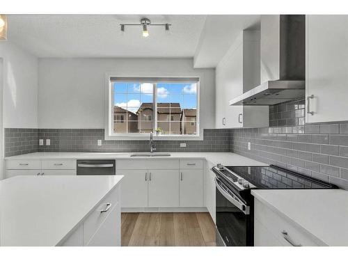 260 Cornerbrook Drive Ne, Calgary, AB - Indoor Photo Showing Kitchen With Stainless Steel Kitchen With Upgraded Kitchen