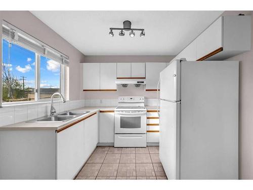 323 Martinbrook Place Ne, Calgary, AB - Indoor Photo Showing Kitchen With Double Sink