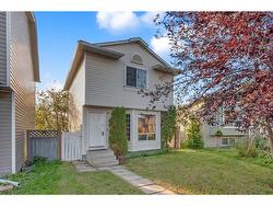 323 Martinbrook Place NE Calgary, AB T3J 3E3