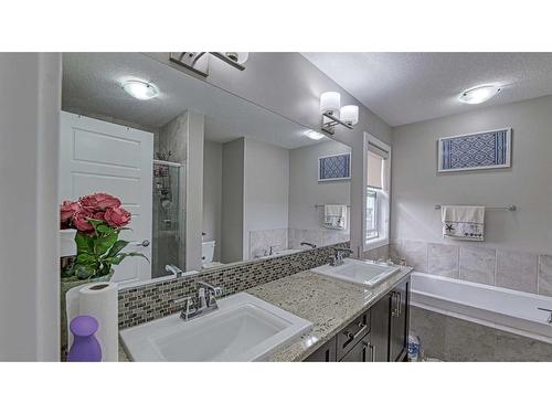 115 Saddlelake Way Ne, Calgary, AB - Indoor Photo Showing Bathroom