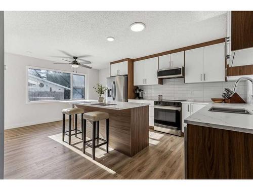 535 Markerville Road Ne, Calgary, AB - Indoor Photo Showing Kitchen With Stainless Steel Kitchen With Upgraded Kitchen