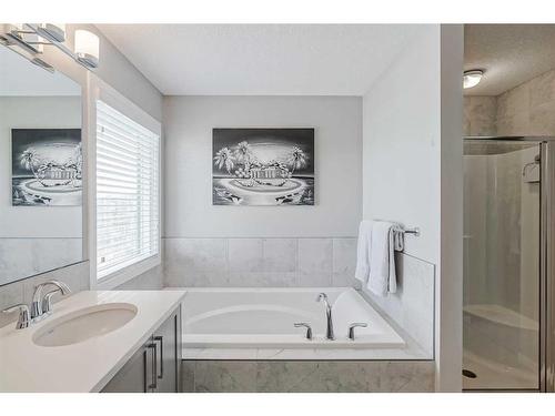 64 Howse Hill Ne, Calgary, AB - Indoor Photo Showing Bathroom