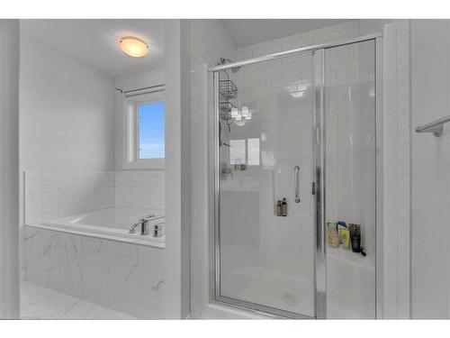 83 Red Sky Crescent, Calgary, AB - Indoor Photo Showing Bathroom