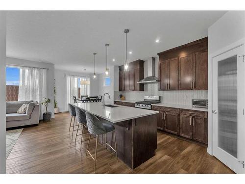 83 Red Sky Crescent, Calgary, AB - Indoor Photo Showing Kitchen With Upgraded Kitchen