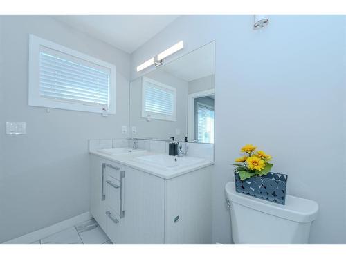 730 Savanna Landing Ne, Calgary, AB - Indoor Photo Showing Bathroom