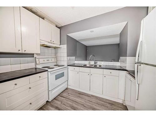 502-919 38 Street Ne, Calgary, AB - Indoor Photo Showing Kitchen With Double Sink