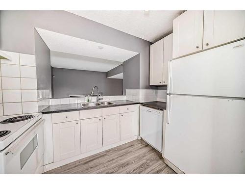 502-919 38 Street Ne, Calgary, AB - Indoor Photo Showing Kitchen With Double Sink