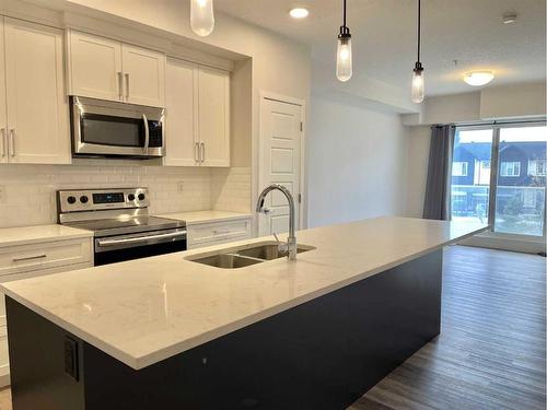 206-300 Harvest Hills Place Ne, Calgary, AB - Indoor Photo Showing Kitchen With Double Sink With Upgraded Kitchen