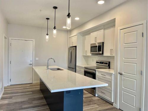 206-300 Harvest Hills Place Ne, Calgary, AB - Indoor Photo Showing Kitchen With Stainless Steel Kitchen With Upgraded Kitchen