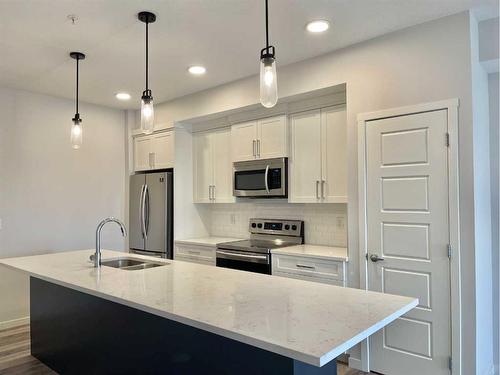 206-300 Harvest Hills Place Ne, Calgary, AB - Indoor Photo Showing Kitchen With Stainless Steel Kitchen With Double Sink With Upgraded Kitchen