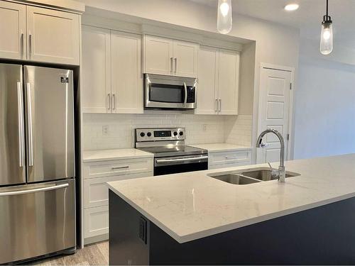 206-300 Harvest Hills Place Ne, Calgary, AB - Indoor Photo Showing Kitchen With Stainless Steel Kitchen With Double Sink With Upgraded Kitchen