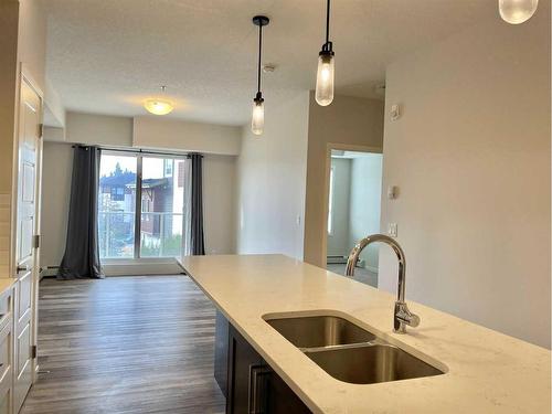 206-300 Harvest Hills Place Ne, Calgary, AB - Indoor Photo Showing Kitchen With Double Sink