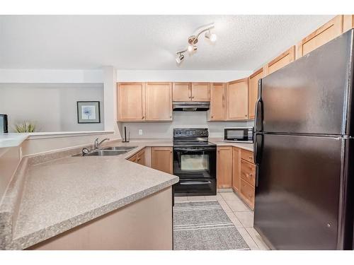 1213-2518 Fish Creek Boulevard Sw, Calgary, AB - Indoor Photo Showing Kitchen With Double Sink