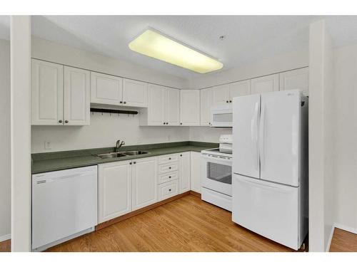 3323-3000 Millrise Point Sw, Calgary, AB - Indoor Photo Showing Kitchen With Double Sink