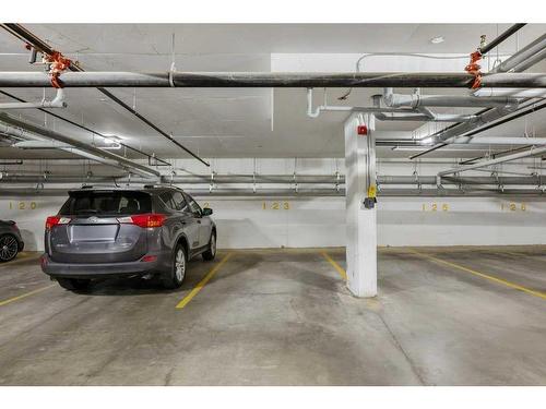 2409-42 Cranbrook Gardens Se, Calgary, AB - Indoor Photo Showing Garage