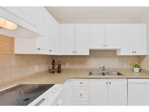 113-5000 Somervale Court Sw, Calgary, AB - Indoor Photo Showing Kitchen With Double Sink