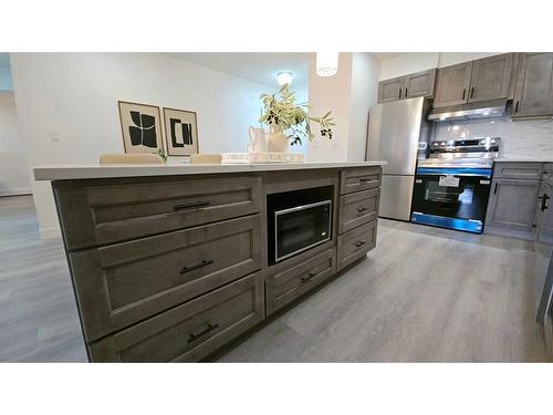 203-1001 68 Avenue Sw, Calgary, AB - Indoor Photo Showing Kitchen