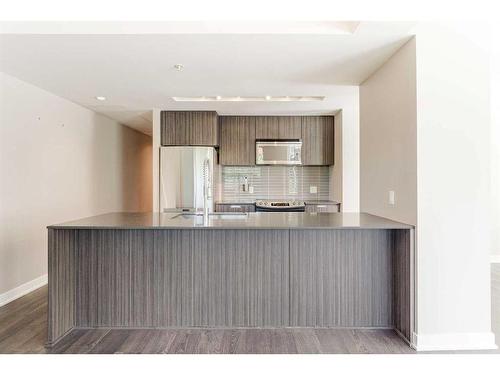 311-626 14 Avenue Sw, Calgary, AB - Indoor Photo Showing Kitchen