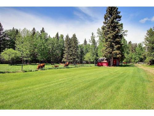 30-5139 27 Highway, Rural Mountain View County, AB - Outdoor