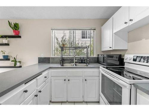 3-1734 29 Avenue Sw, Calgary, AB - Indoor Photo Showing Kitchen With Double Sink