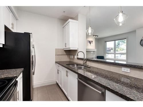 201-518 33 Street Nw, Calgary, AB - Indoor Photo Showing Kitchen With Double Sink