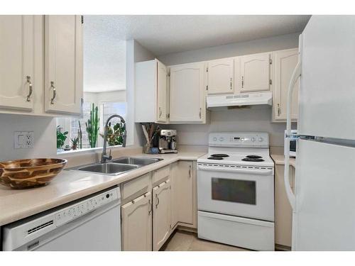 2374 17A Street Sw, Calgary, AB - Indoor Photo Showing Kitchen With Double Sink