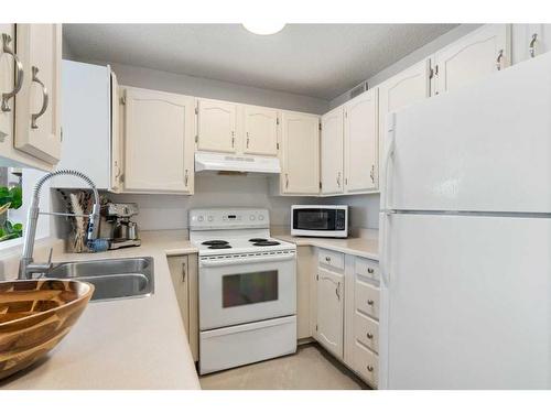 2374 17A Street Sw, Calgary, AB - Indoor Photo Showing Kitchen With Double Sink