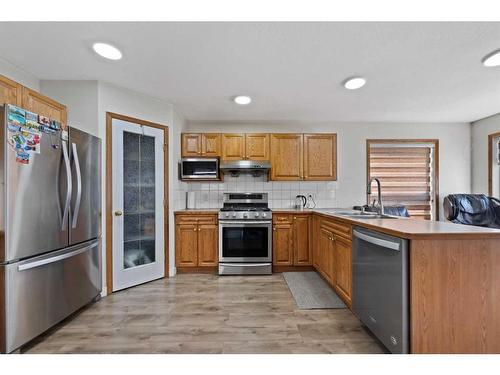 167 Saddlehorn Close Ne, Calgary, AB - Indoor Photo Showing Kitchen With Double Sink