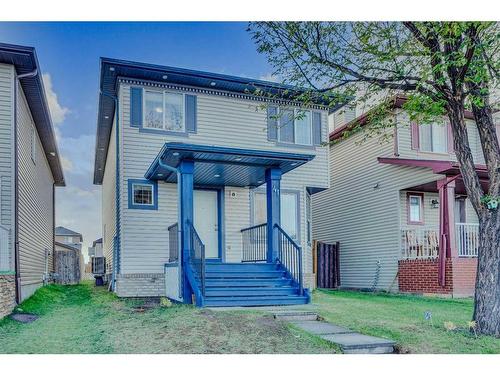 41 Taralake Terrace Ne, Calgary, AB - Outdoor