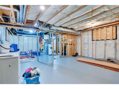 41 Taralake Terrace Ne, Calgary, AB - Indoor Photo Showing Basement