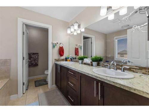 545 Saddlelake Drive Ne, Calgary, AB - Indoor Photo Showing Bathroom