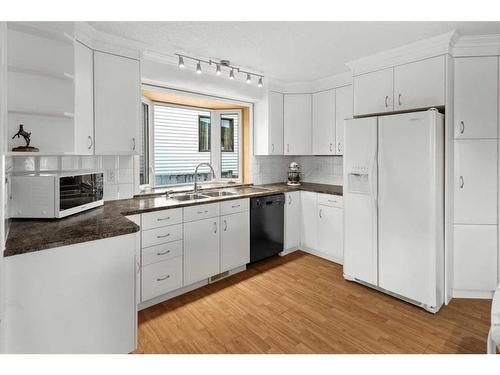 4832 26 Avenue Ne, Calgary, AB - Indoor Photo Showing Kitchen With Double Sink