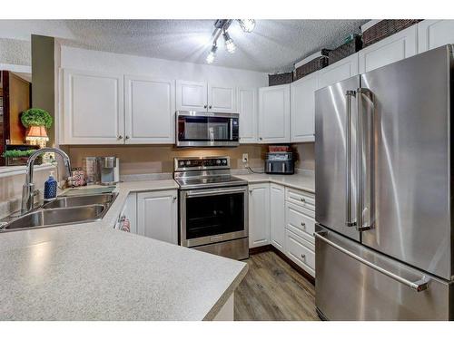 204-4000 Citadel Meadow Point Nw, Calgary, AB - Indoor Photo Showing Kitchen With Stainless Steel Kitchen With Double Sink